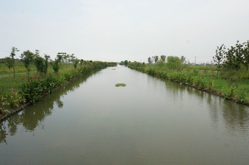 河道养护